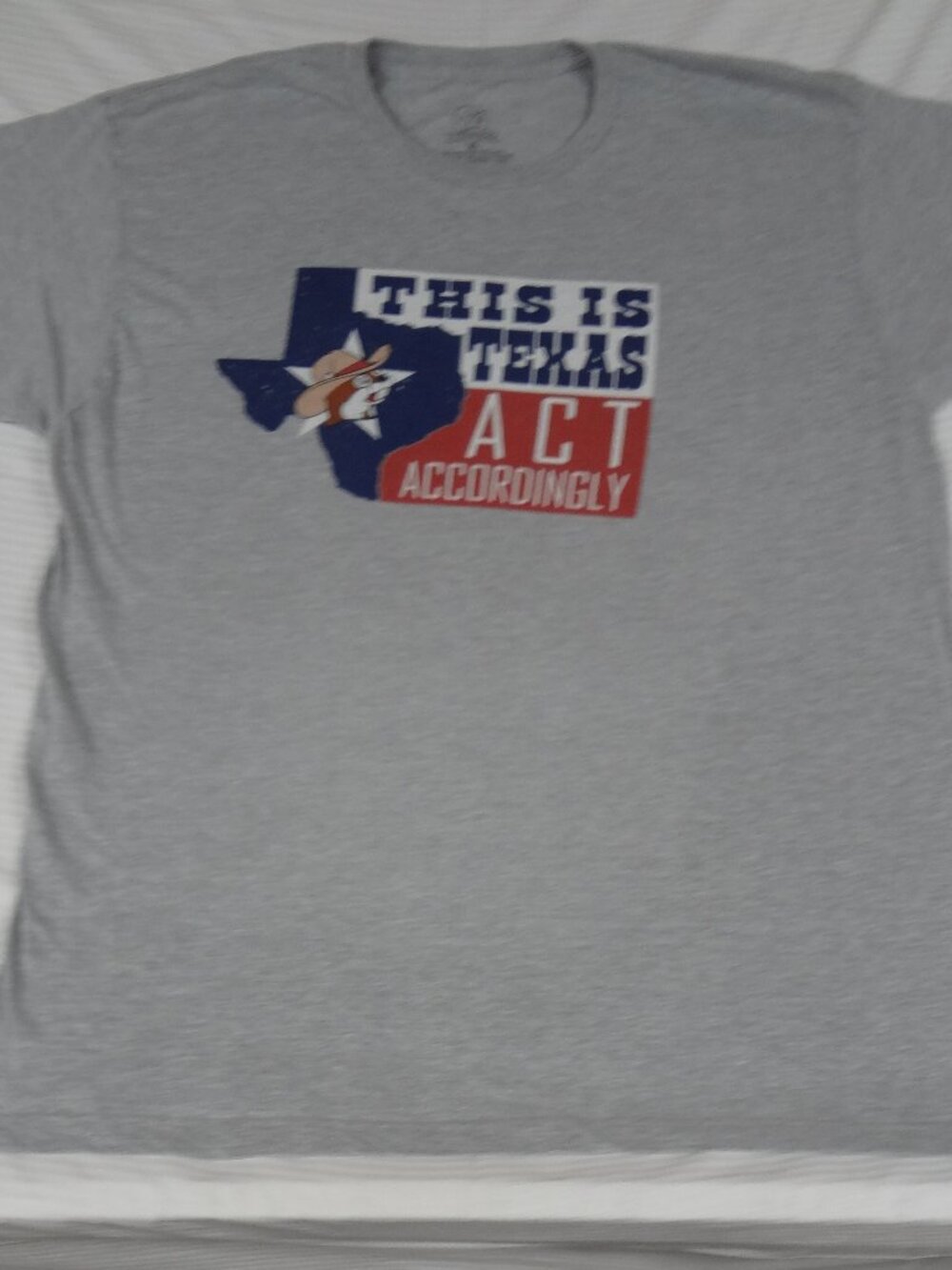 BUC-EE'S THIS IS TEXAS ACT ACCORDINGLY FLAG BEAVER - GRAY XL T-SHIRT L919